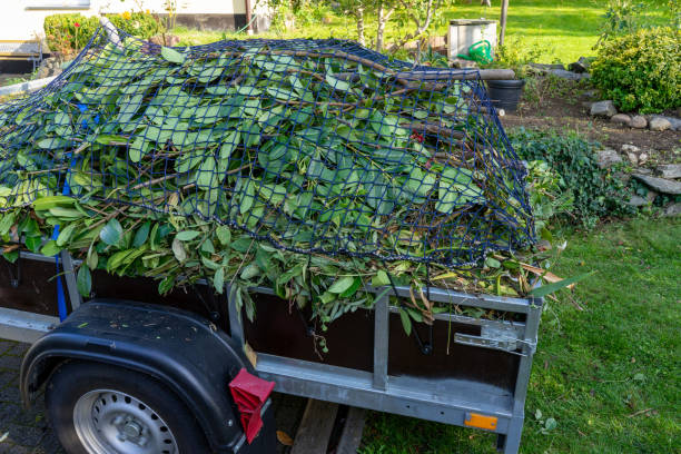 Professional Junk Removal Services in Guthrie Center, IA